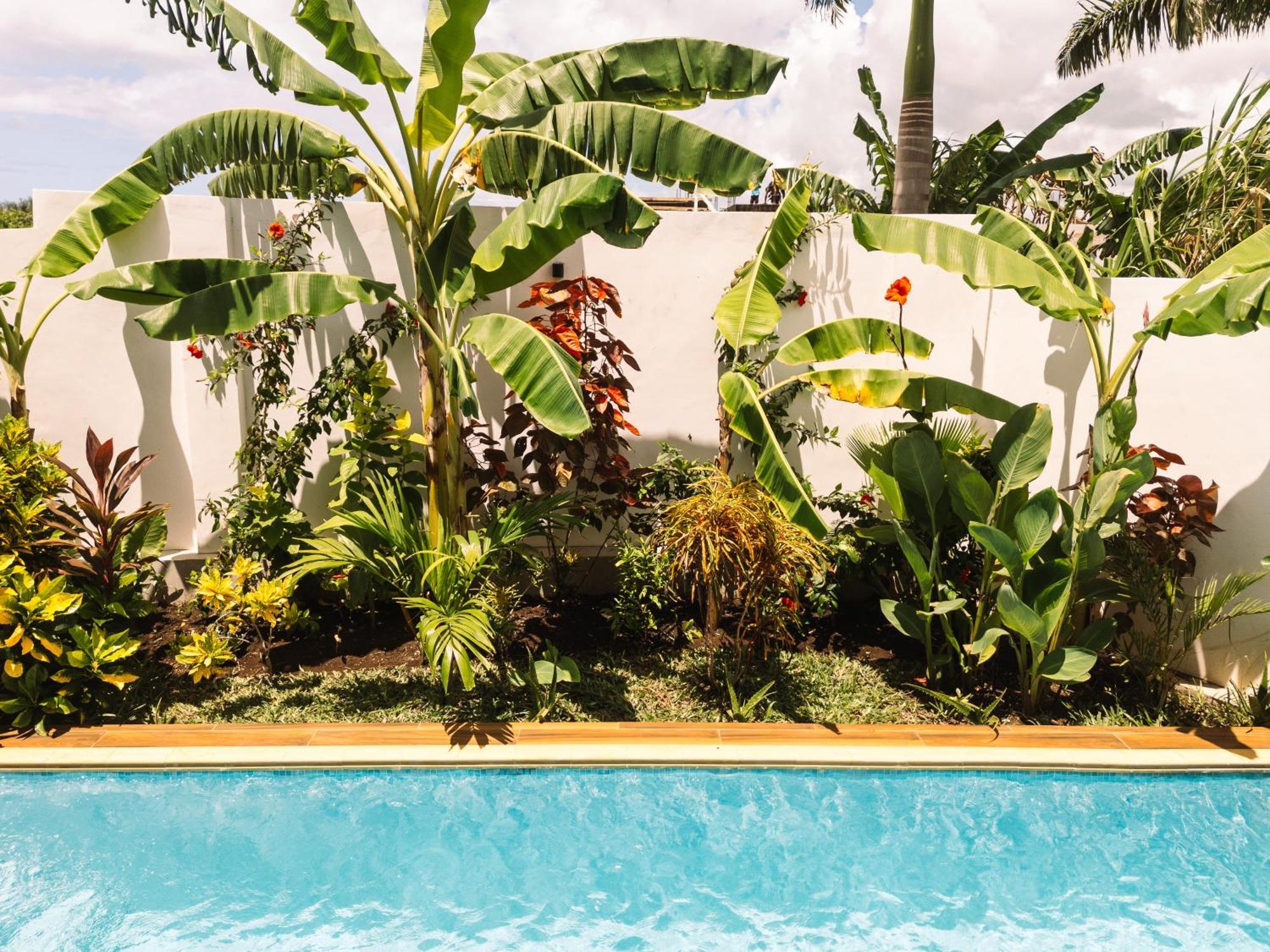 Shivo Paje Villas 外观 照片